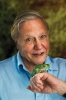 photo David Attenborough