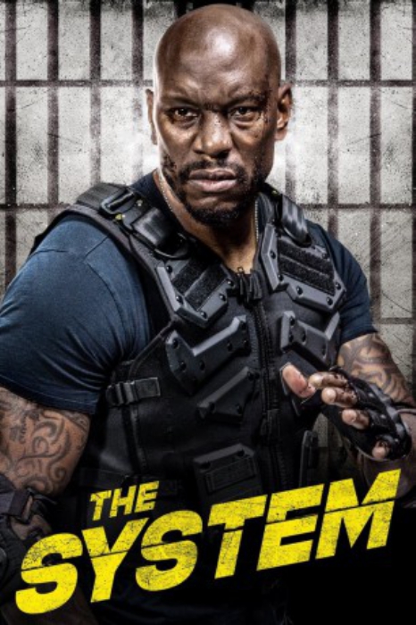 poster The System&nbsp;&nbsp;(2022)