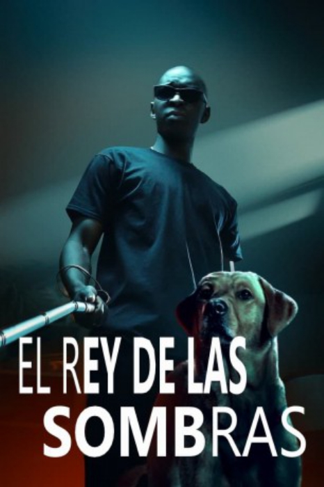 poster In His Shadow&nbsp;&nbsp;(2023)